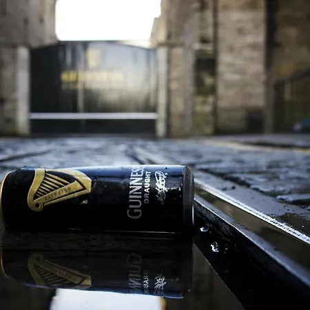 No 9 Rathgar 3* Dublin